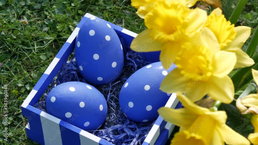 Modernes Osternest mit Osterglocken