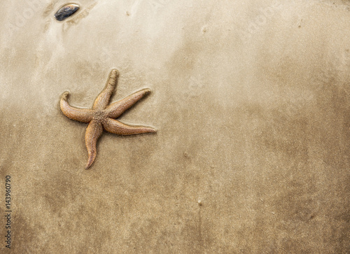 Background image of a starfish on golden sand 