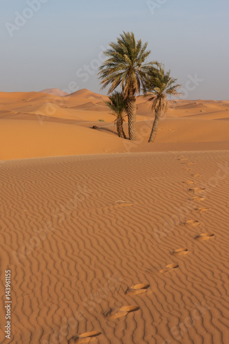 Marche dans le d  sert de Merzouga