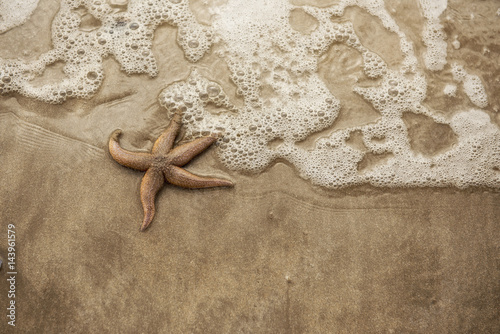 Background image of a starfish on golden sand 