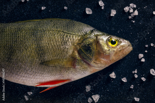 Fototapeta Naklejka Na Ścianę i Meble -  Fresh fish on the dark background with salt
