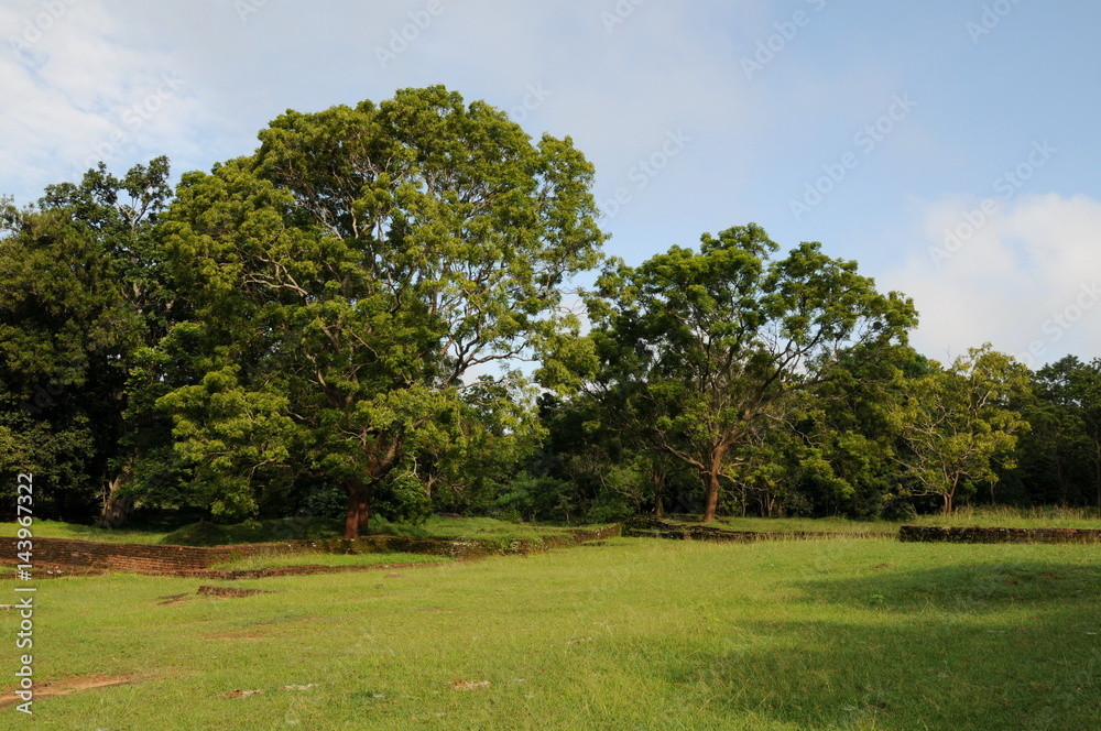 The gardens around Sigiriya rock. The gardens around Sigiriya rock.