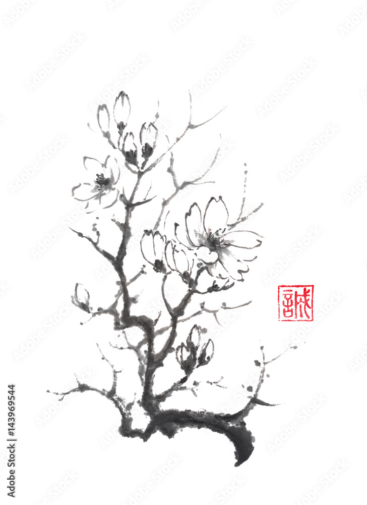 Obraz premium Blooming magnolia tree Japanese style original sumi-e ink painting.