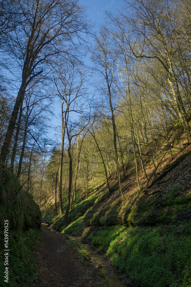 Obraz premium Drachenschlucht