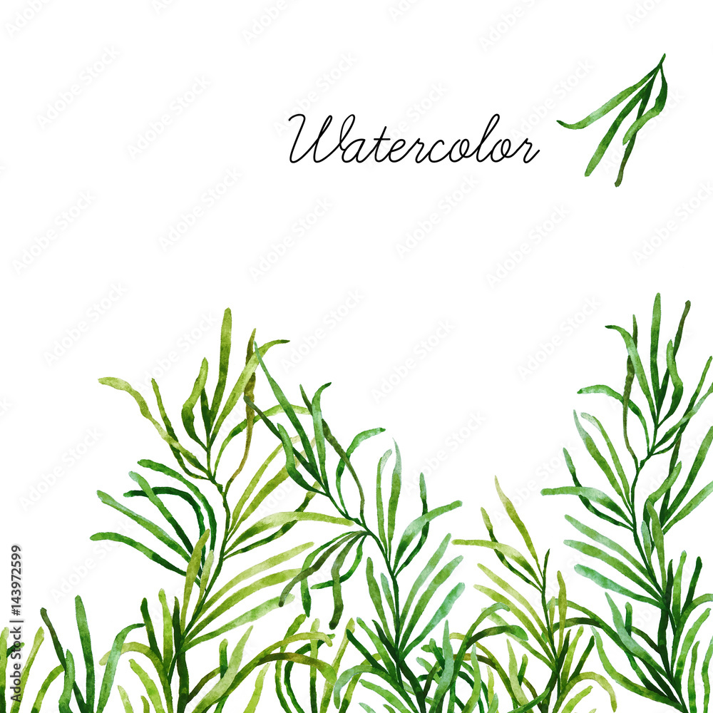 Watercolor botanical elements