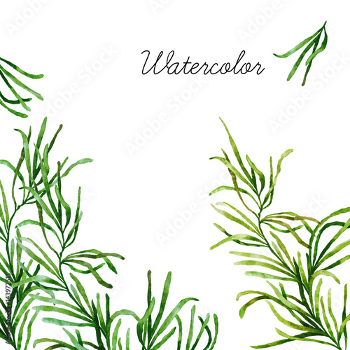 Fototapeta Naklejka Na Ścianę i Meble -  Watercolor botanical elements