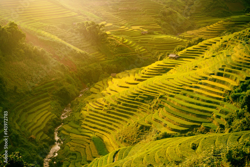 Morning rice terraces in the gorge. Vietnam Rice field terraces on the mountains in Mu Cang Chai Vietnam.