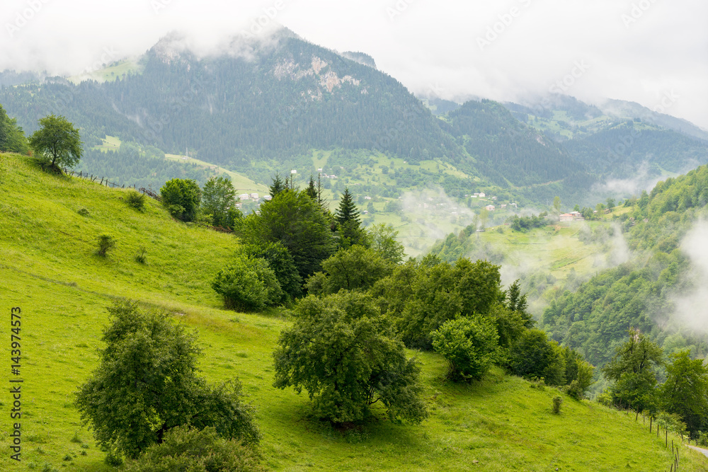 Fototapeta premium Beautiful Mountain view to Highland and Trees