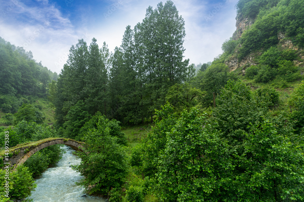 View of a arch bridge of highland, Giresun - Turkey View of a arch bridge of highland, Giresun - Turkey
