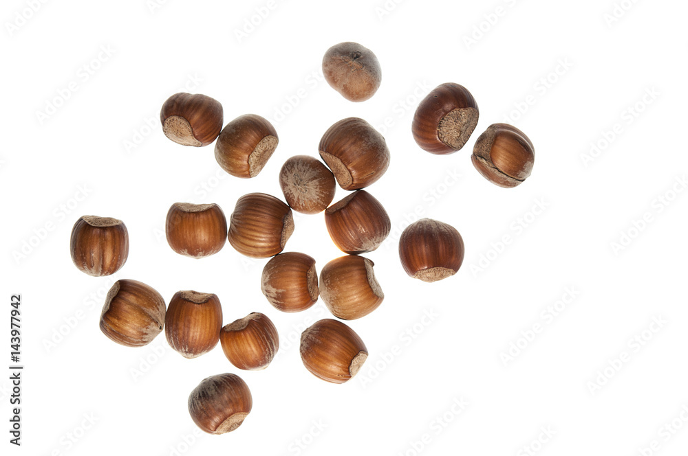 hazelnut hazelnut