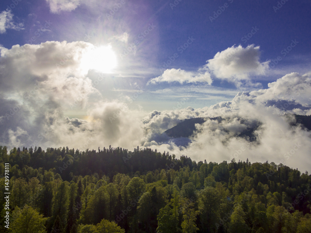 Drone flight along the trees at mountains Drone flight along the trees at mountains