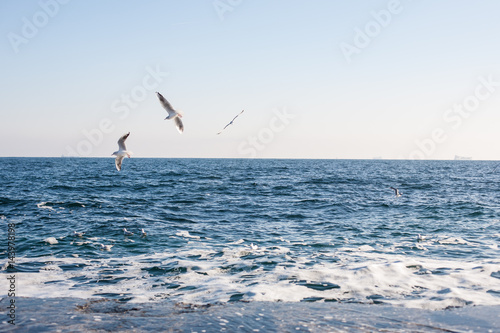 Picturesque panorama of the Black Sea photo