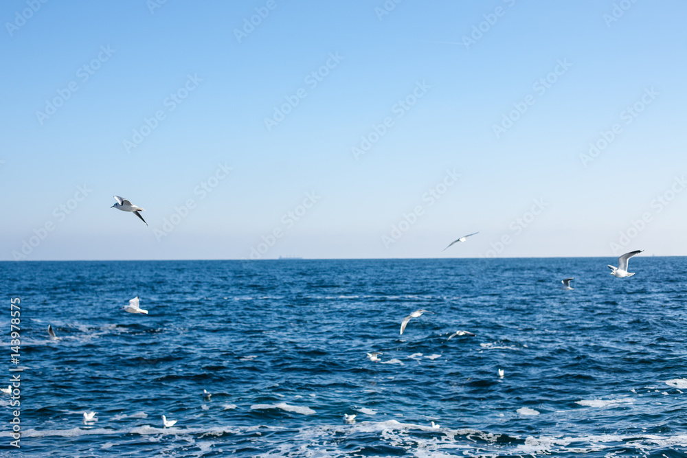 Picturesque panorama of the Black Sea Picturesque panorama of the Black Sea