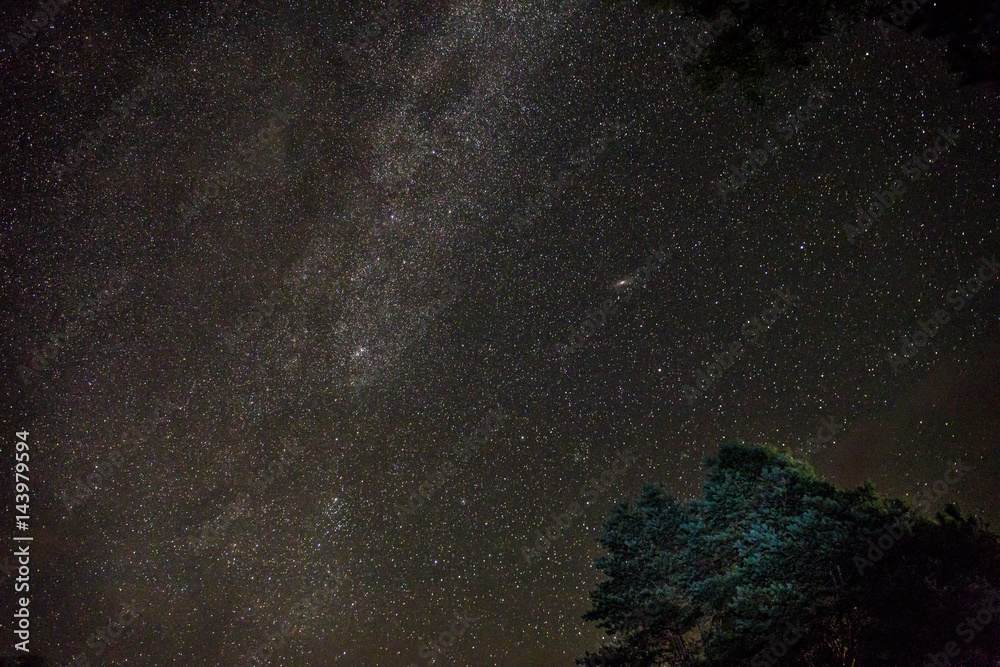 Fototapeta premium Night starry sky beautiful scene