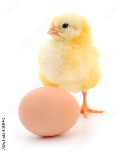 chicken and egg