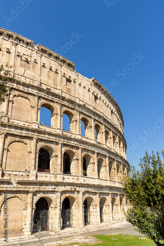 Colosseum in Rome  italy