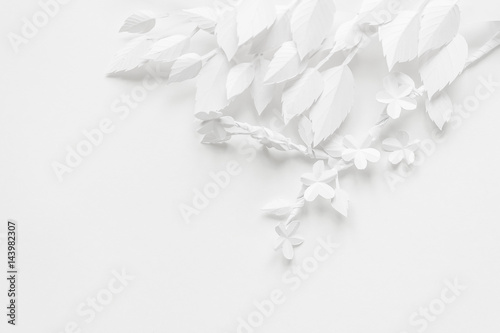 Wallpaper Mural Blooming branch, cut out of white paper on a white background Torontodigital.ca