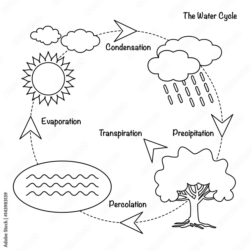 Vector schematic water cycle in nature - Stock Illustration [76181707] -  PIXTA