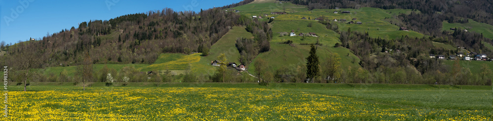 Obraz premium Panorama of Alps and meadow,Switzerland