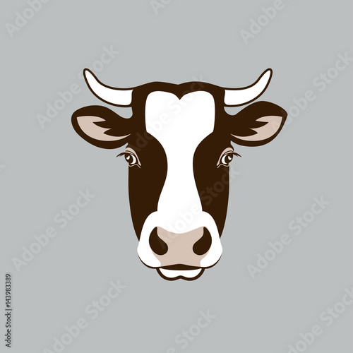 cow head / Vector image of a cow head design on grey background, Vector cow logo. Farm Animals.