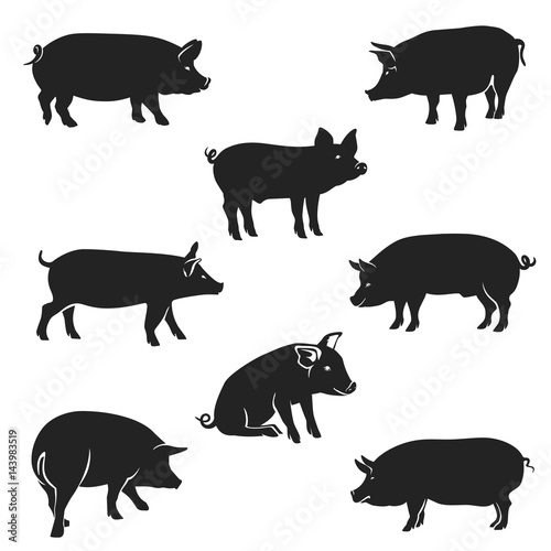 Pigs Black / Pork icon. Vector Image, pig silhouette, in Curl Tail pose, isolated on white background.