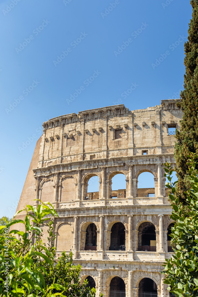 Colosseum in Rome, italy