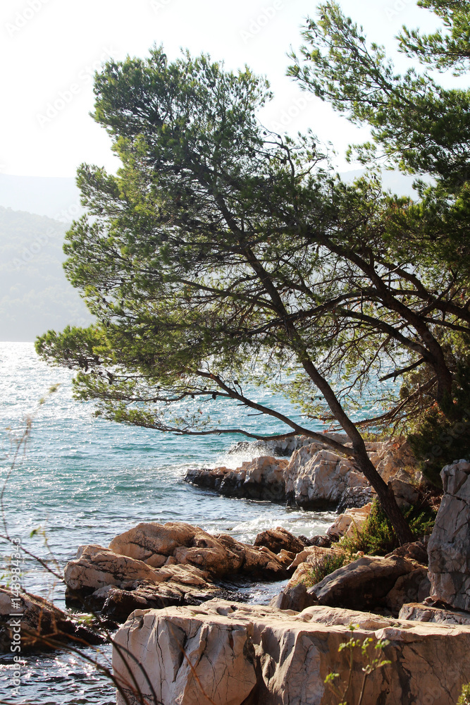 A promenade in Starigrad at Hvar island, Croatia A promenade in Starigrad at Hvar island, Croatia