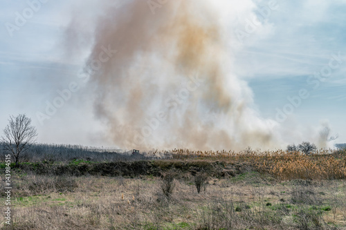 Fire at landfill with white smoke in sunny weather and clouded sky.