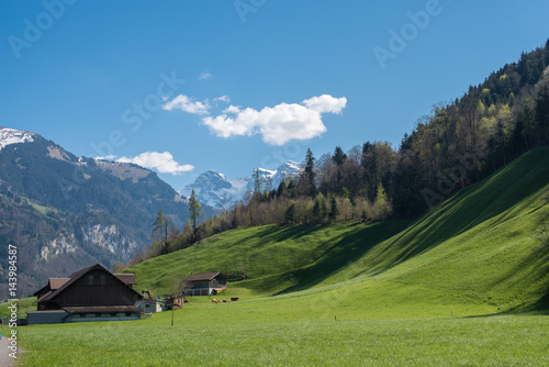 Landscape Alps and meadow,Switzerland
