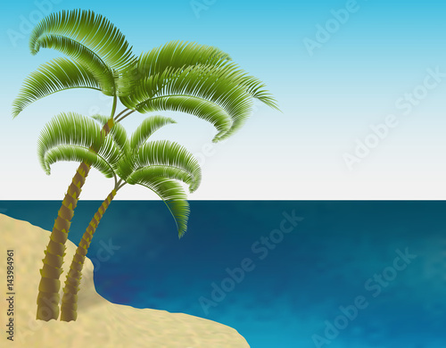 Sandy sea shore. Two palm trees. Exotic travel. Ripples on the sea. Landscape. illustration