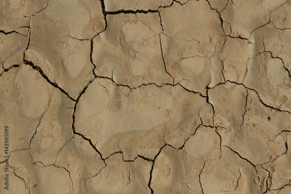 Dry lake textures Dry lake textures