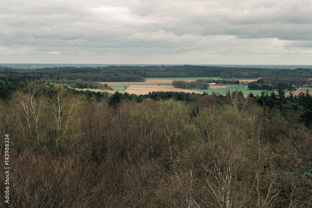 Fototapeta premium Mixed deciduous and pine forest with farmland and infrastructure. High angle view.