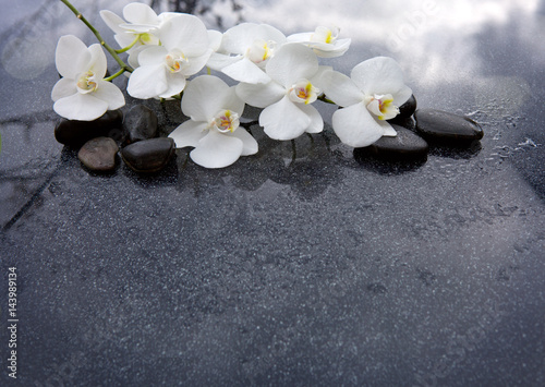 Fototapeta Naklejka Na Ścianę i Meble -  White orchid and black stones close up.