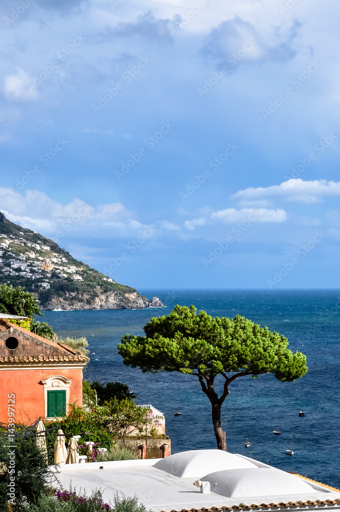 pine on the shore of Positano, Italy
