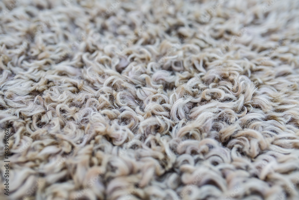 Wool background, closeup of a sheepskin Wool background, closeup of a sheepskin