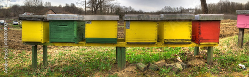 Bee hives on a cloudy day © zlatkozalec