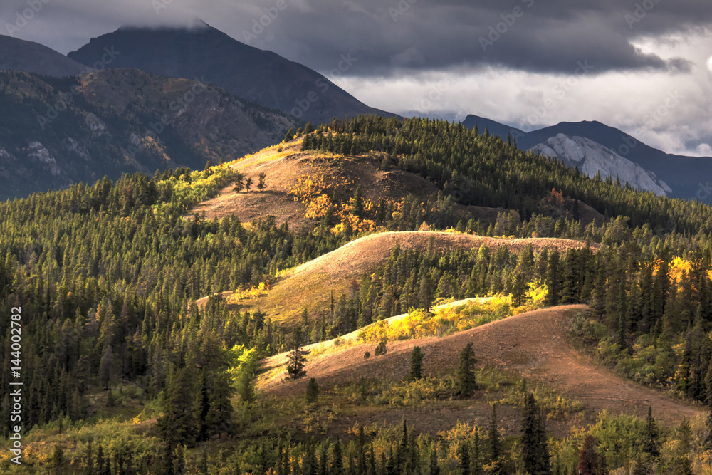 Fototapeta premium Road to Skagway
