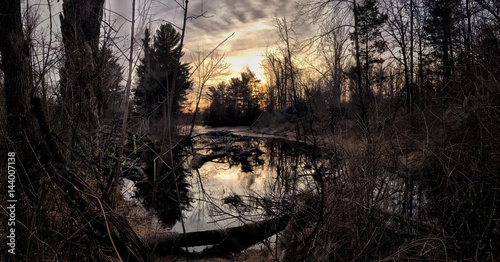 Sunset over a forest pond