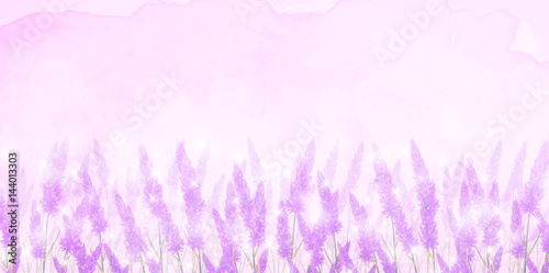ラベンダー　花　風景　背景