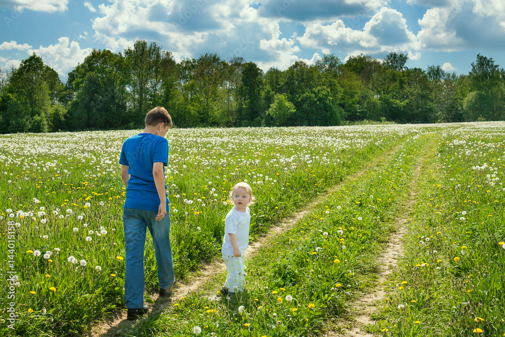 Fototapeta premium two children boys play on a summer meadow