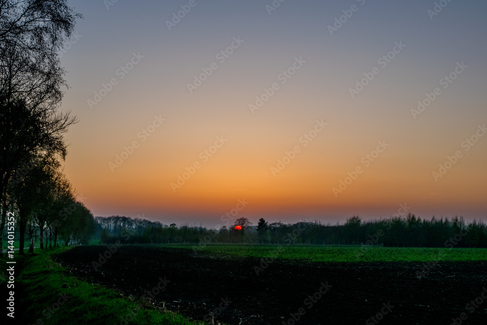 big long green field at sunset with beautiful view