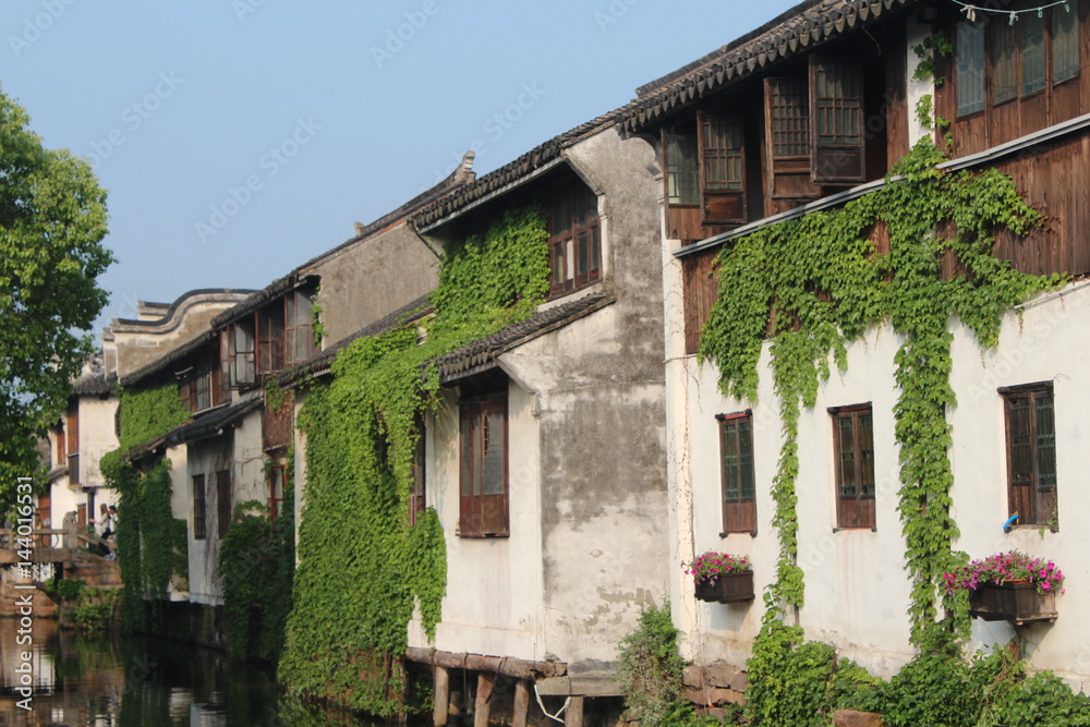 China Chinese House Houses Home Homes Water Town Watertown Jiangsu Zhouzhuang Asia Asian Venice of Wood Wooden Window Windows White Wall Walls Door Doors Green Plant Plants 