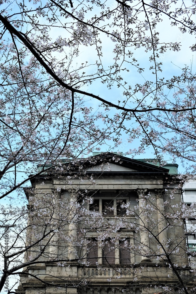 春の日本銀行