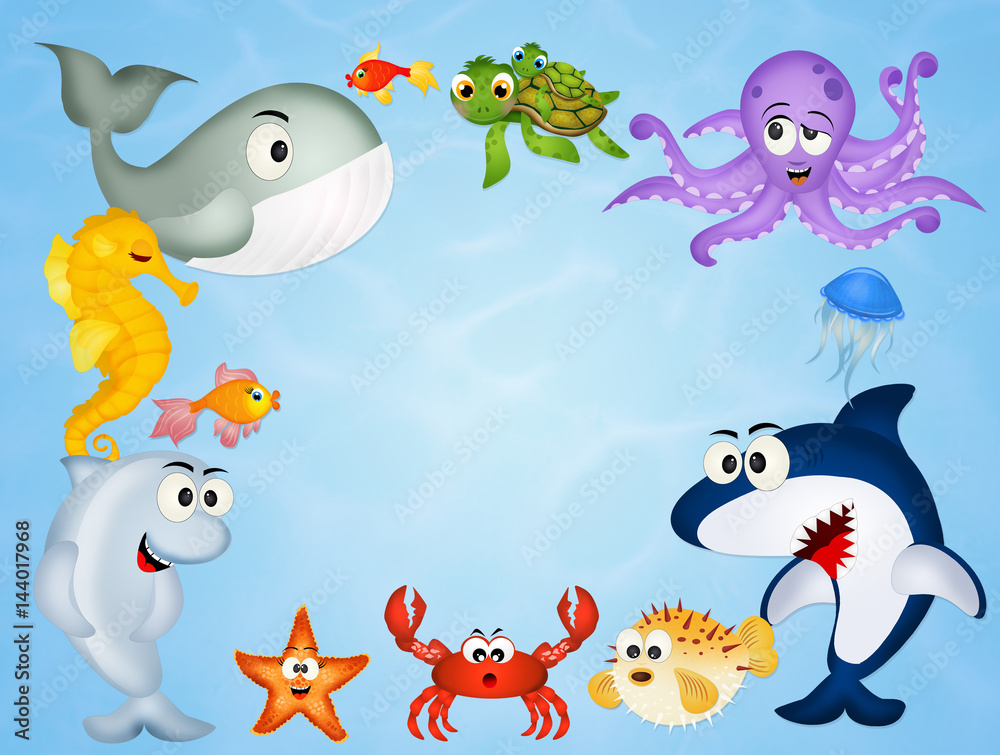 Fototapeta premium sea life animals