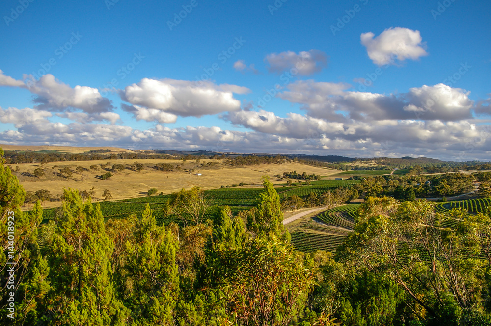 Obraz na płótnie Clare Valley in rural South Australia is a mixture of farming and wine growing p