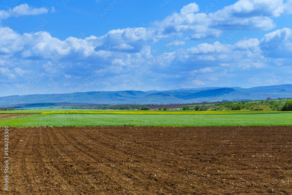 Bright sunny spring day with large clouds over Cultivated field Bright sunny spring day with large clouds over Cultivated field