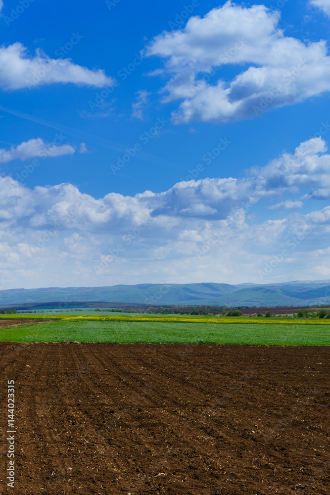 Bright sunny spring day with large clouds over Cultivated field