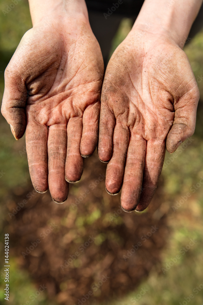 Fototapeta premium weibliche Hände voller Schmutz und Erde, Garten und Landwirtschaft