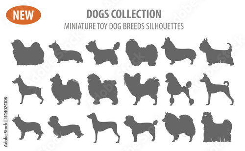 Miniature toy dog breeds, set icon isolated on white . Flat style