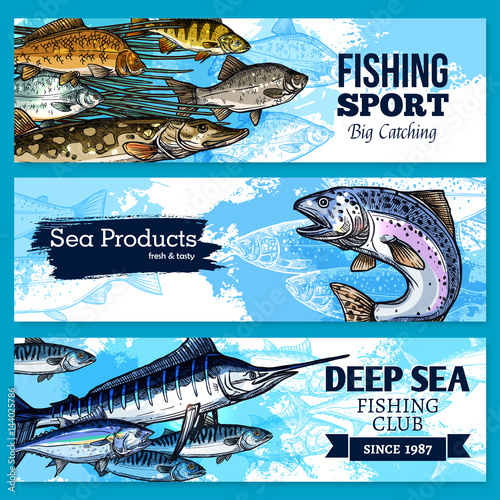 Vector banners of fishing club or sea fish product